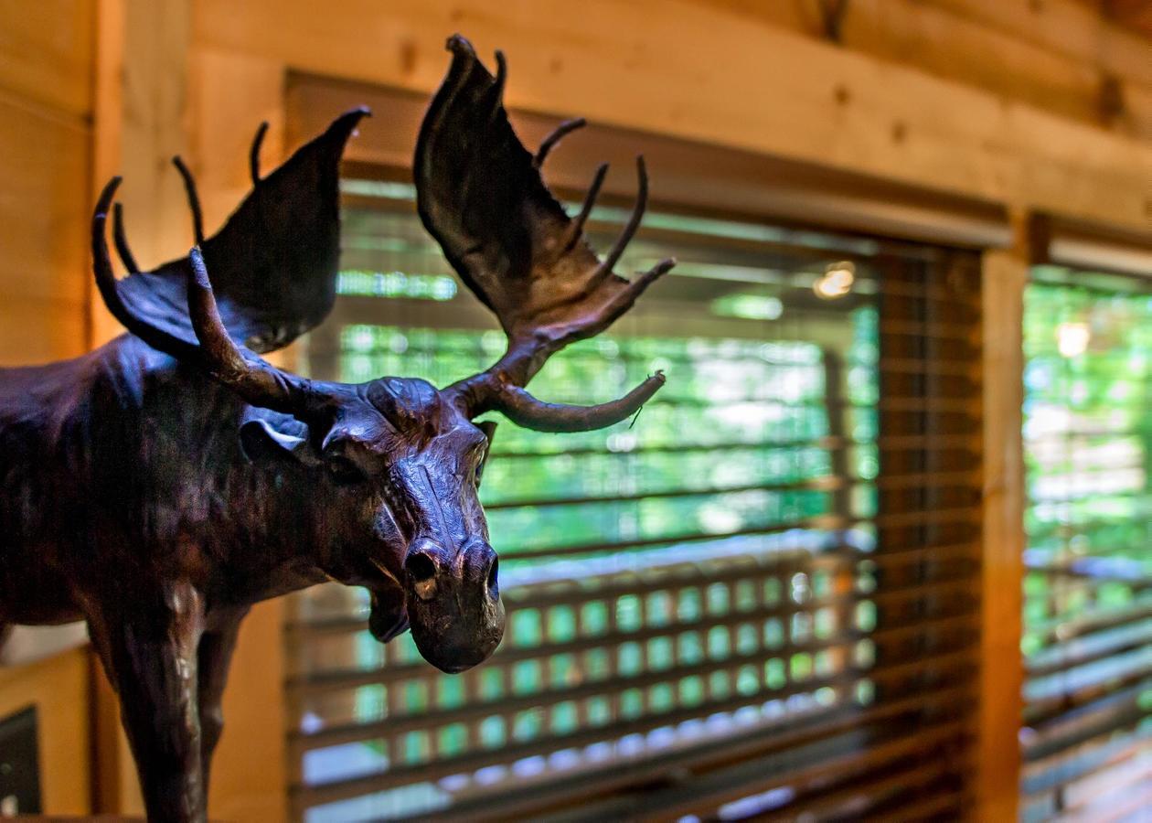 Bearfoot Inn #35 Sevierville Εξωτερικό φωτογραφία